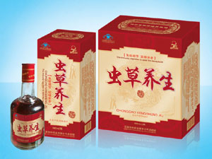 點(diǎn)擊放大 蟲草養(yǎng)生酒