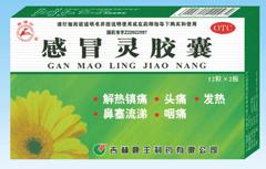 點(diǎn)擊放大 感冒靈膠囊