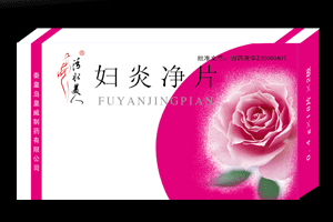 點(diǎn)擊放大 婦炎凈片