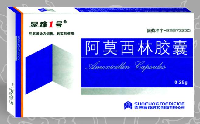 點(diǎn)擊放大 阿莫西林膠囊