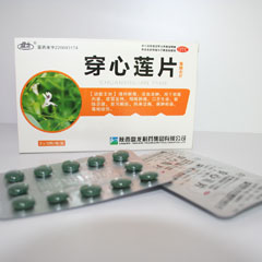 點擊放大 穿心蓮片