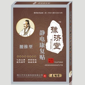 點擊放大 豫濟堂靜電康復(fù)貼(腰椎型)