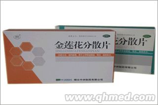 ��ɏ����ɢƬ 