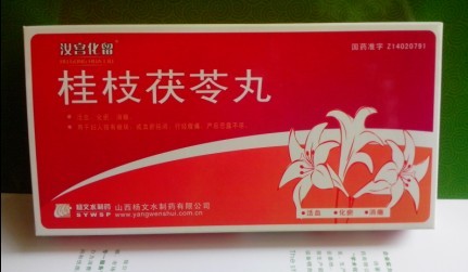 點(diǎn)擊放大 桂枝茯苓丸