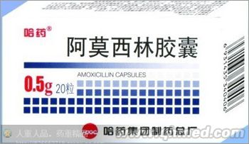 點擊放大 阿莫西林膠囊