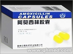 點擊放大 阿莫西林膠囊