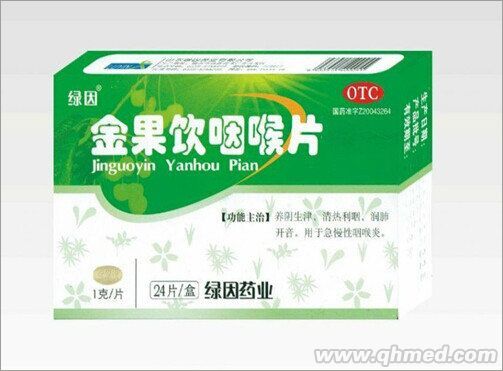 點擊放大 金果飲咽喉片