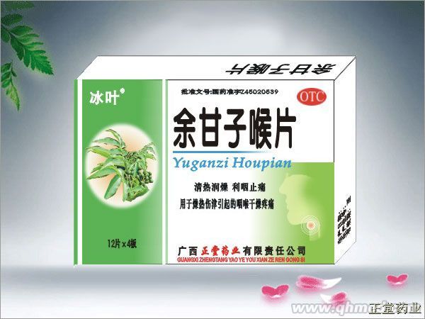 點擊放大 余甘子喉片