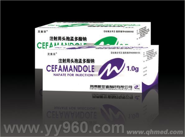 點(diǎn)擊放大 注射用頭孢孟多酯鈉