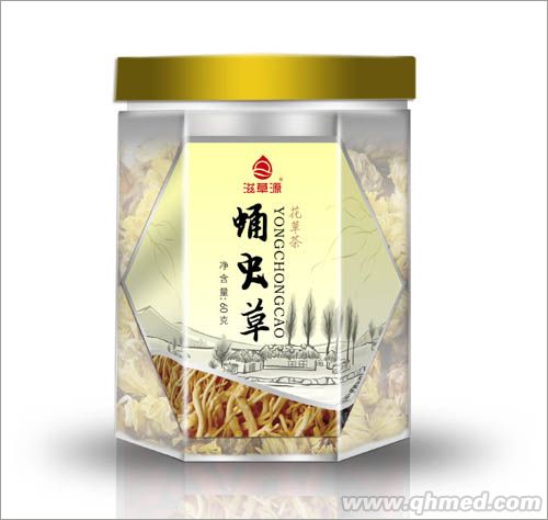 點擊放大 蛹蟲草