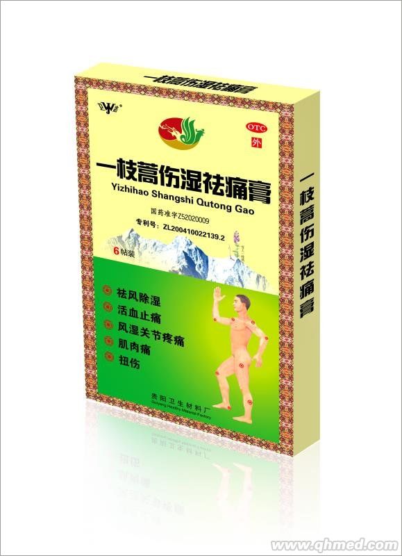 點(diǎn)擊放大 一支蒿傷濕祛痛膏