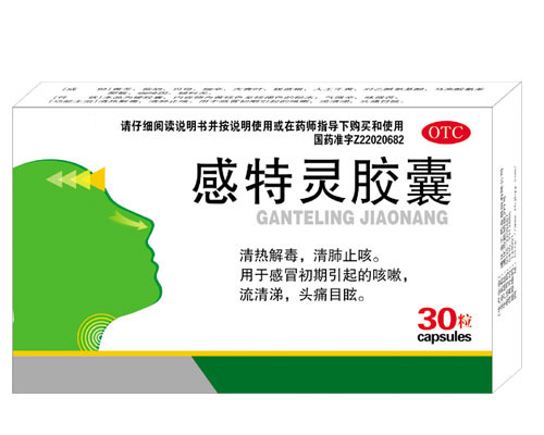 點(diǎn)擊放大 感特靈膠囊