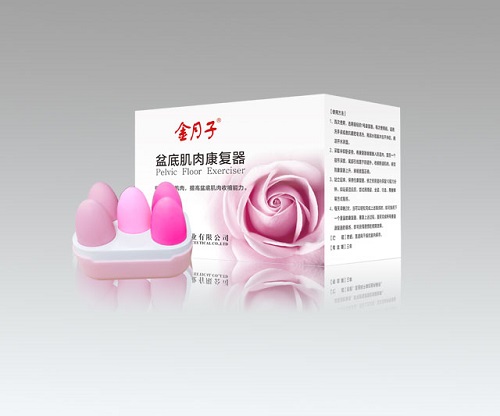 點擊放大 金月子 盆底肌肉康復器oem貼牌 低價招 盆底肌肉康復 盆底康復器