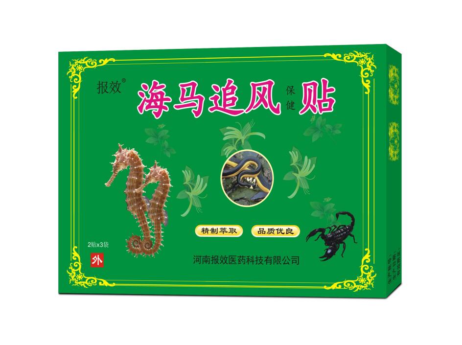 點(diǎn)擊放大 海馬追風(fēng)貼