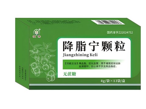 點(diǎn)擊放大 降脂寧顆粒(無蔗糖)