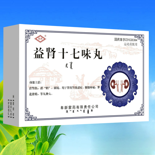 點(diǎn)擊放大 益腎十七味丸 益腎十七味丸