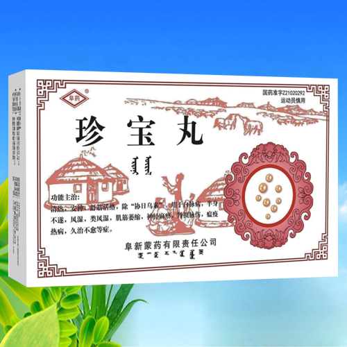 點擊放大 珍寶丸 珍寶丸