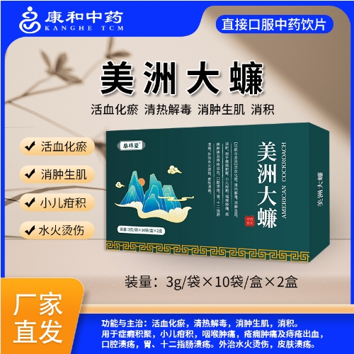 點(diǎn)擊放大 美洲大蠊 美洲大蠊