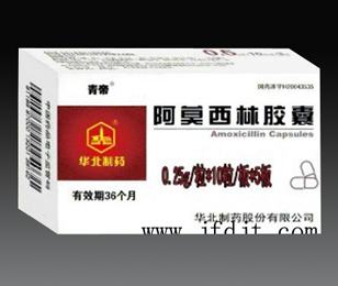 阿莫西林膠囊