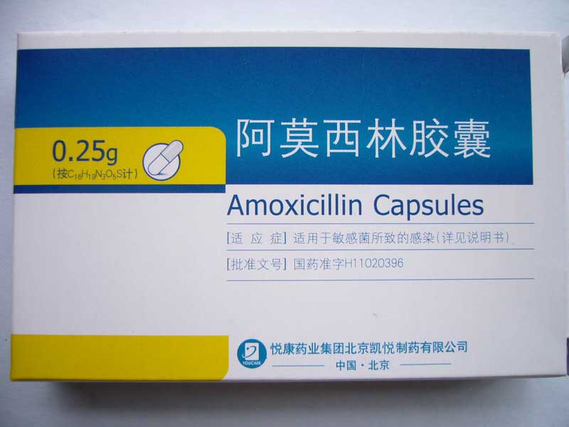 ��Ī�����z��