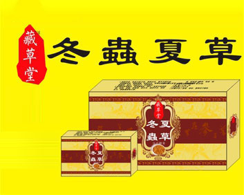 �ز���-���x�Ĳ�