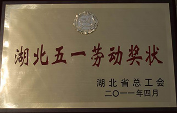 �ɹ����̲�