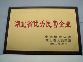 �ɹ����̲�