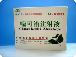 點(diǎn)擊放大 喘可治注射液