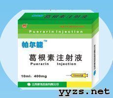 點(diǎn)擊放大 帕爾能TM葛根素注射液