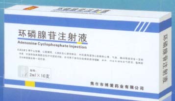 點擊放大 環(huán)磷腺苷注射液