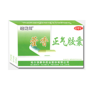 點(diǎn)擊放大 藿香正氣膠囊