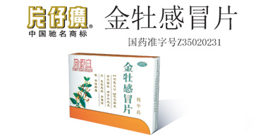 點(diǎn)擊放大 片仔癀 金牡感冒片