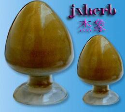 點(diǎn)擊放大 三七提取物