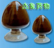 點擊放大 昆明山海棠浸膏粉