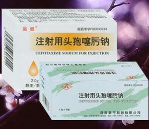 點擊放大 注射用頭孢噻肟鈉(抗生素 注射液)